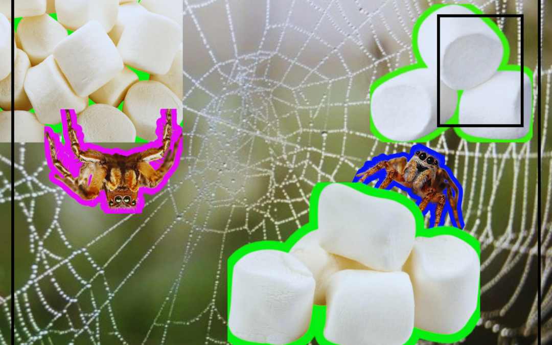 MOBILISING POSTCARDS: vol 3. I like that. Spiderwebs.